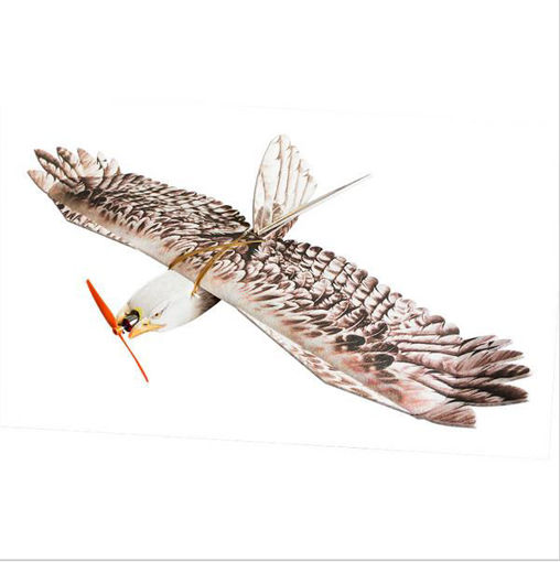Picture of Dancing Wings Hobby DW Eagle EPP Mini Slow Flyer 1200mm Wingspan RC Airplane KIT