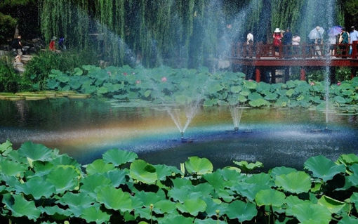 Picture of 7V Solar Power Floating Brushless Water Pump Garden Landscape Submersible Fountain