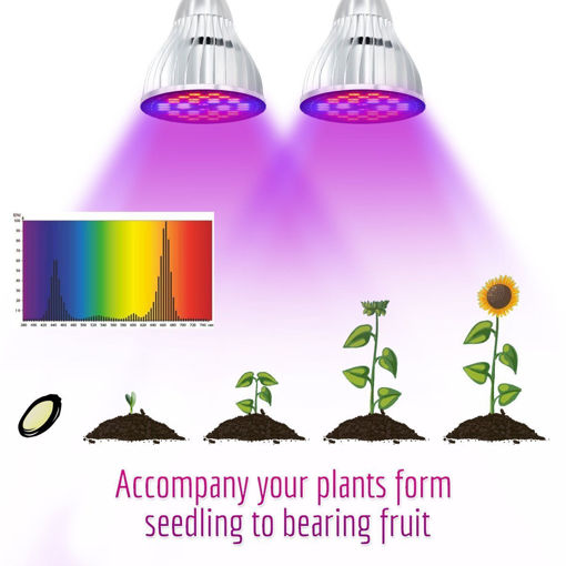 Picture of 60W Dual Head Plants Led Grow Light Bulb Clip Desk Adjustable Growing Lamp For Garden Indoor Bonsai
